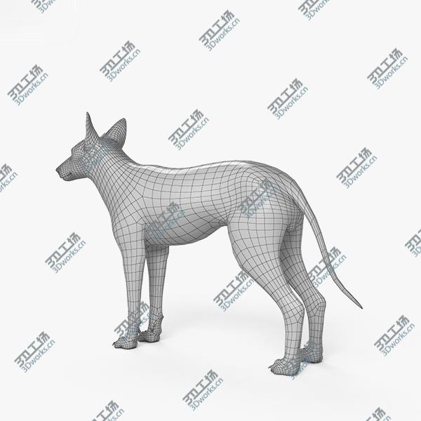 images/goods_img/202105071/3D model Coyote HD/3.jpg